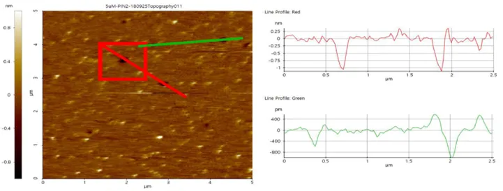 Esquema: Microscopia de Fuerza Atómica - 2