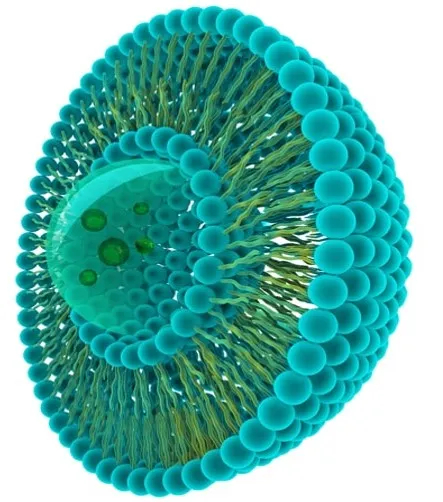 Esquema: Liposoma - 2